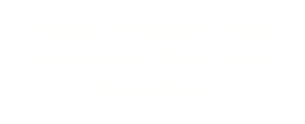 Plakate. Anzeigen. Flyer. Broschüren. Direkt-Mail. Kampagnen.